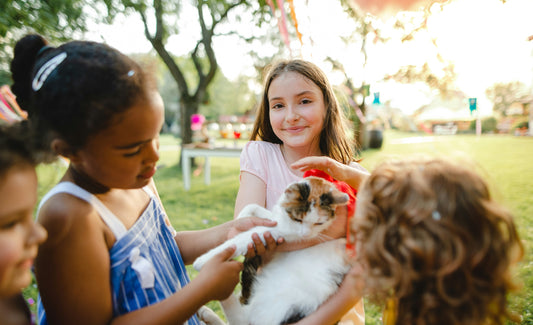 How to Keep Your Pet Safe During Family Activities