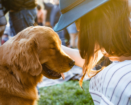 The Future of Pet Hygiene: Top Trends and HugWith’s Innovative Solutions for 2025