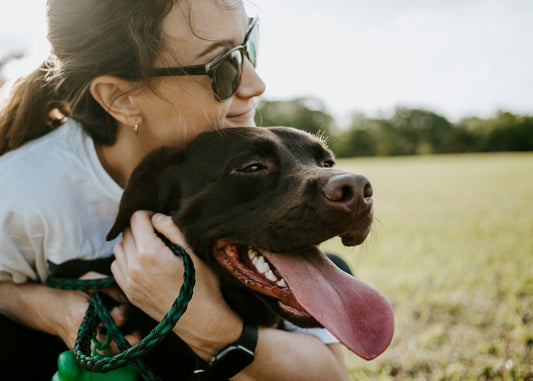 How to Help Your Pet Reduce Stress and Maintain Emotional Stability